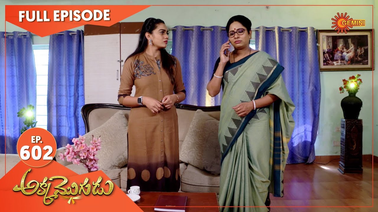 Akka Mogudu - Ep 602 | 11 Nov 2020 | Gemini TV Serial | Telugu Serial