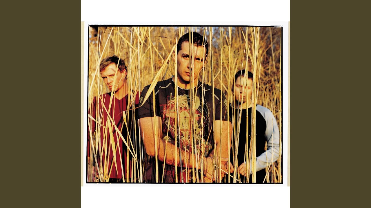 Wall of Shame (Radio Edit)