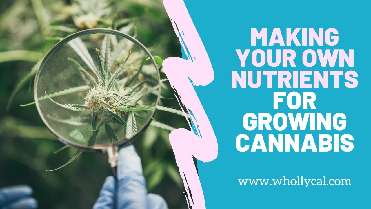 Making Your Own Nutrients for Growing Cannabis