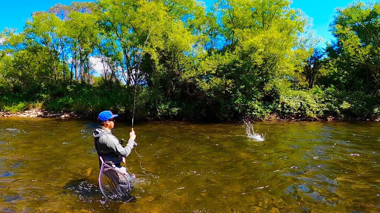 River Nymphing for Brown and Rainbow Trout
