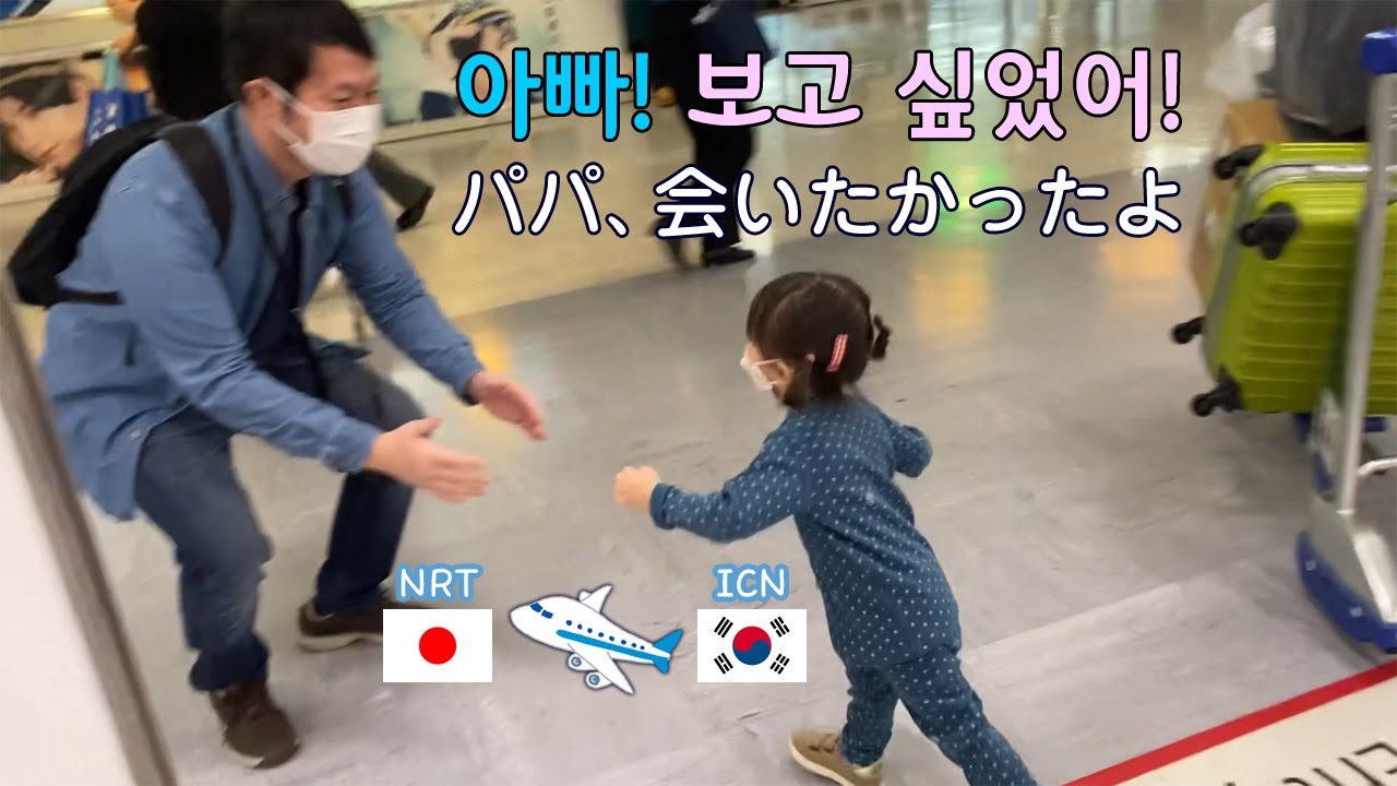 【한일부부】 드디어 아빠랑 재회✈ 한국에서 일본으로 VLOG#74 ついにパパと再会 / 韓国から日本へ