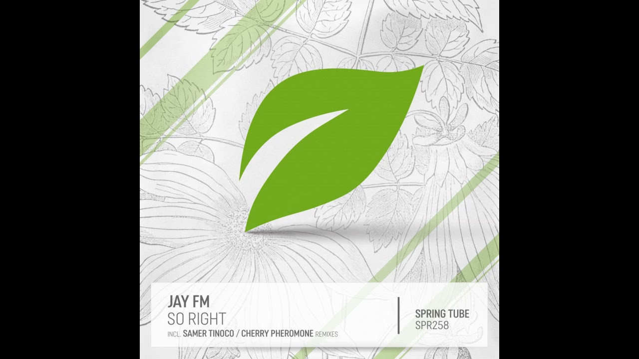 Jay FM - So Right (Original Mix)