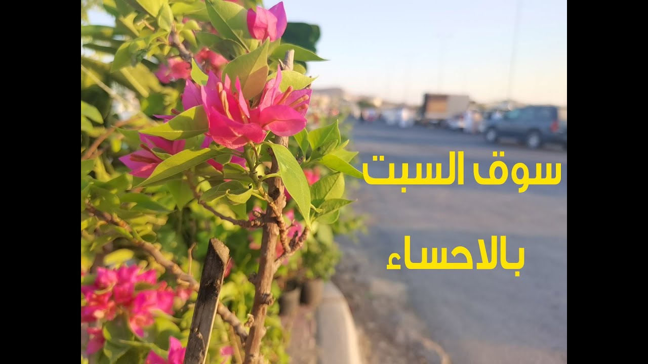 سوق السبت بالاحساء