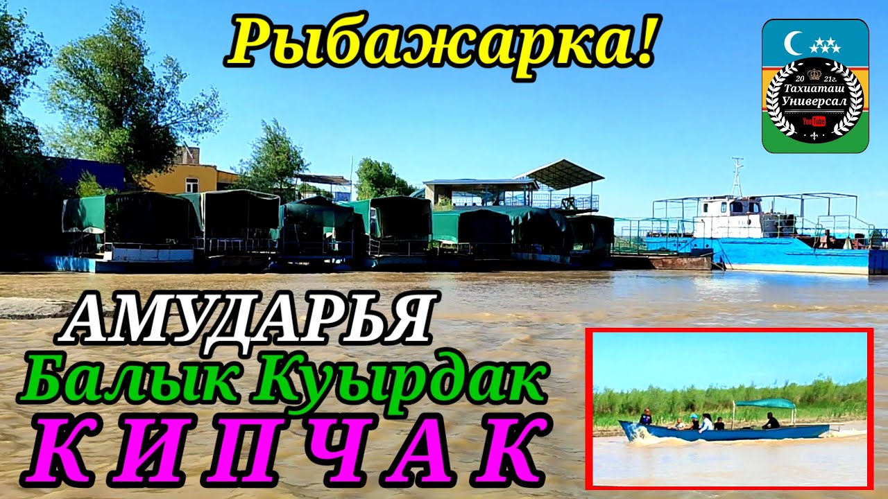 🦈БАЛЫК КУЫРДАК КИПЧАК#мангит#кипчак#балык#бахалары#цены#река#амударья#рыбожарка#отдых#дамолиш#рыба