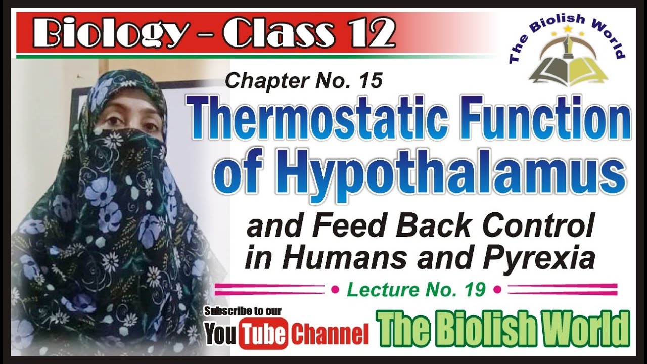 Thermostat Function of Hypothalamus, Feed back Mechanism in Humans and Pyrexia.