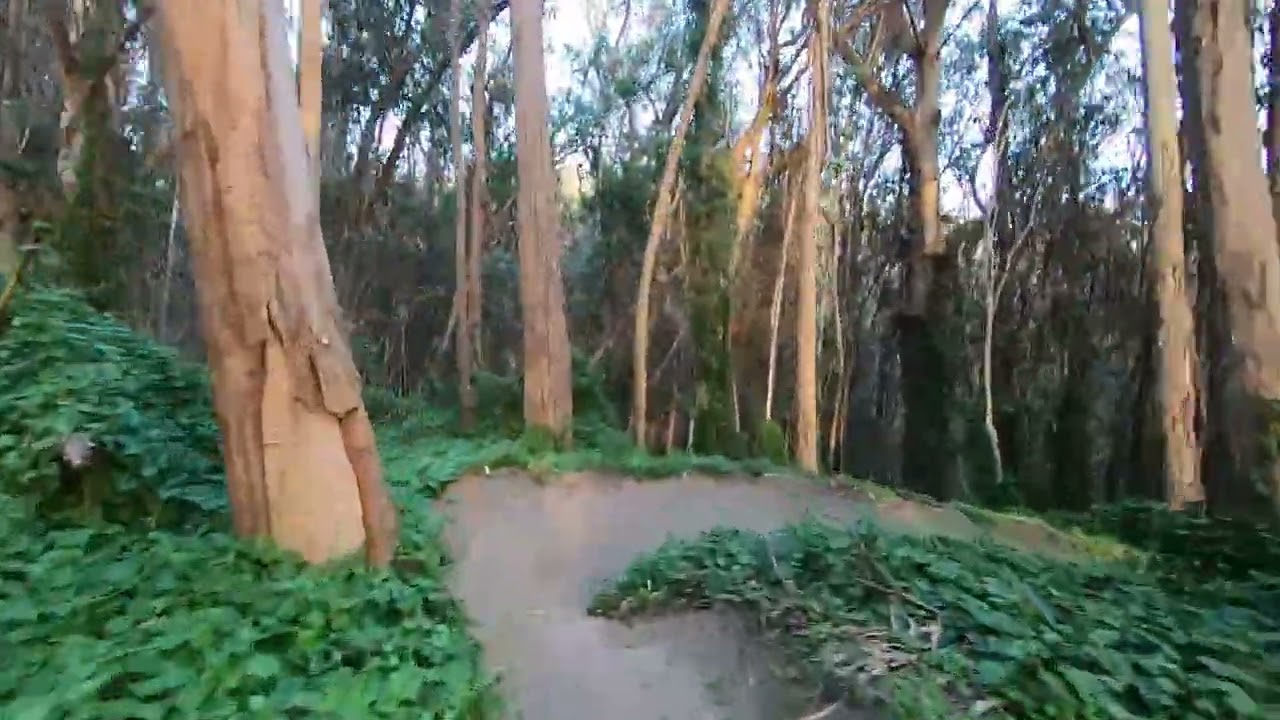 El Granada   Quarry park Feb 2026