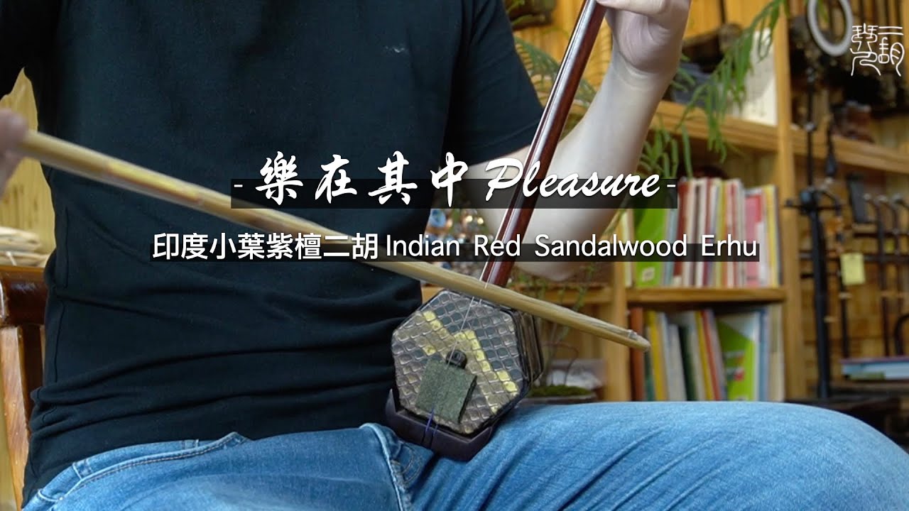 線上賞琴｜印度小葉紫檀二胡《樂在其中》｜二胡琴人 The Erhuist