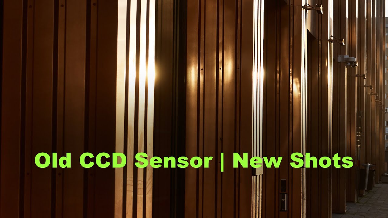 Nikon D80 | CCD sensor in 2025? | Photowalk