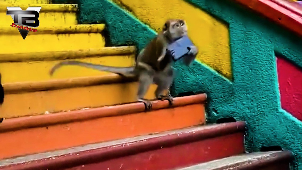 Interesting, comical and fails moments #115