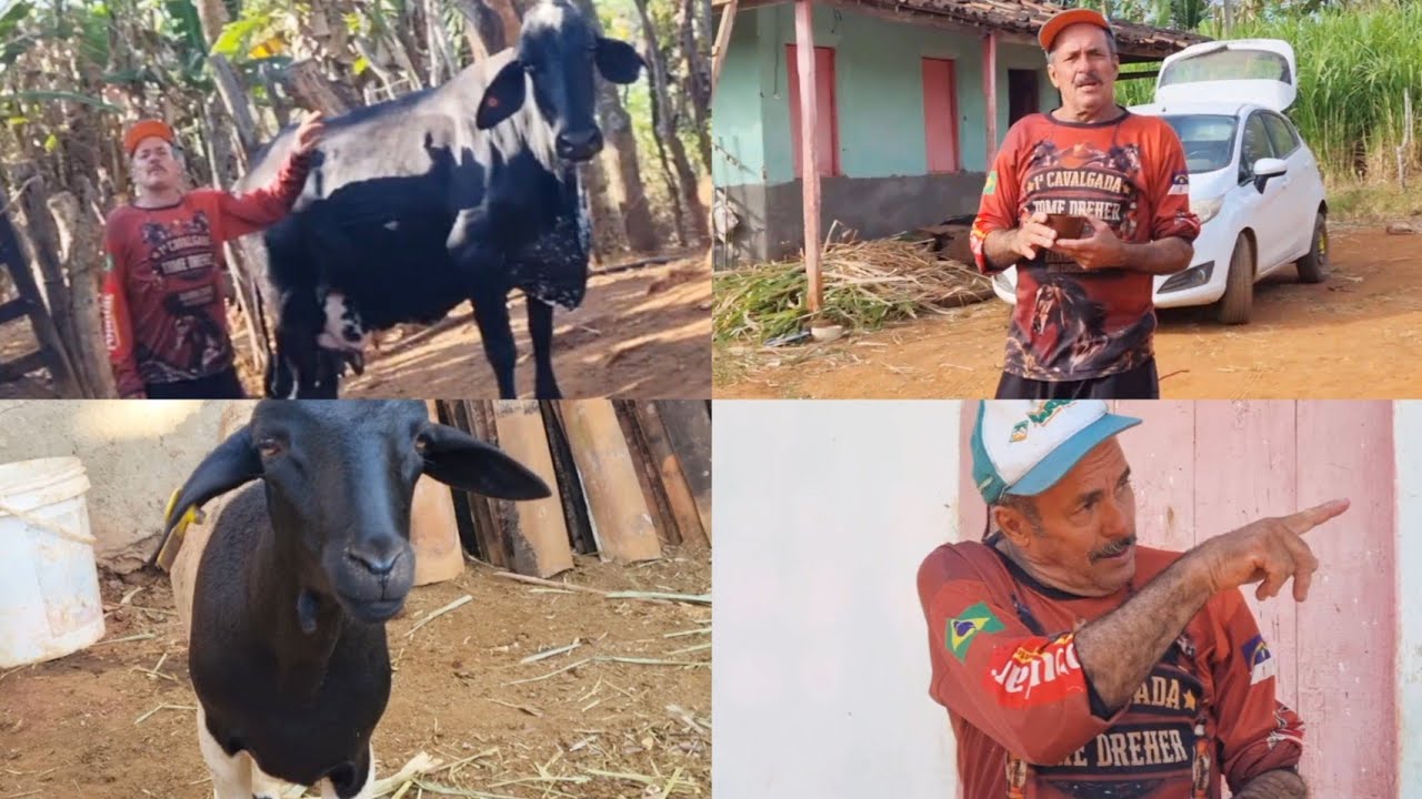 FUI NA FAZENDA DO CHEIROSINHO MUITA COISA L&Aacute; OLHA DENTRO DA CASA DA FAZENDA O QUE TEM L&Aacute; 