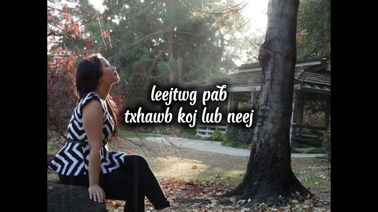Niam Loj Lub Kuamuag by Bao Lee (Fan Video) 