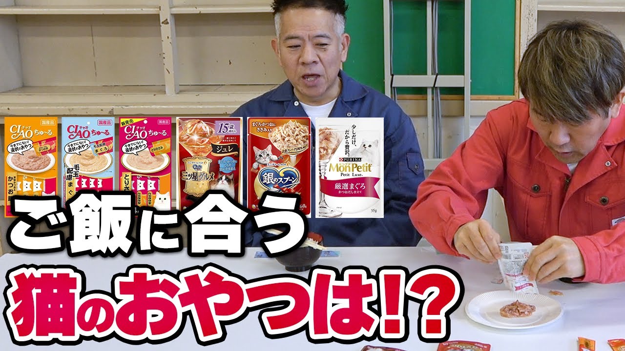 【検証】ご飯に1番合う猫のおやつはなに！？