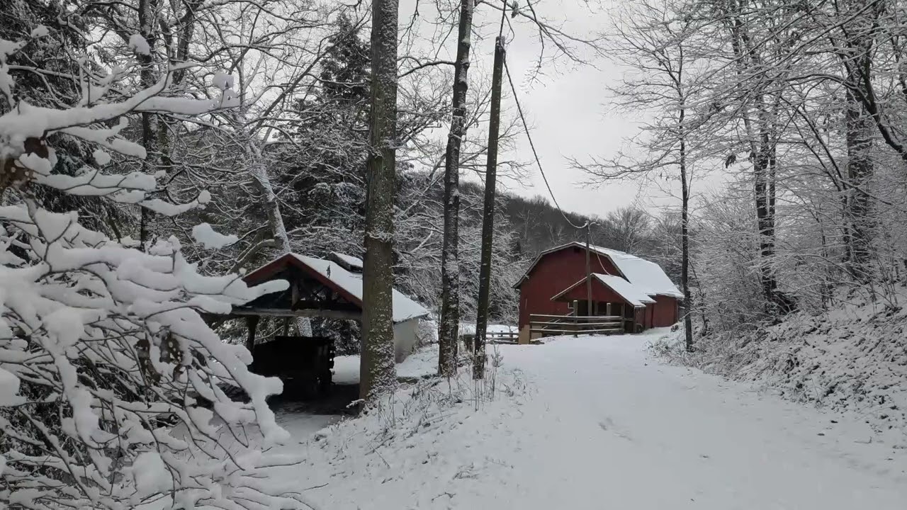 All Winter Long the Trees are Bare -- Piano Instrumental Sing Along