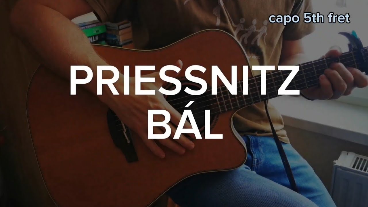 Priessnitz - Bál - album version (guitar lesson)