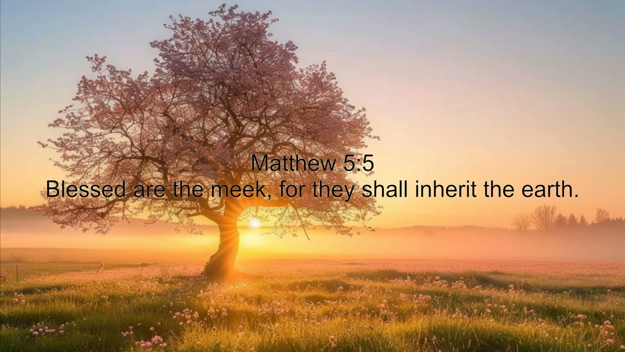 Matthew 5:5 - In His Presence - Deep Prayer Instrumental Worship