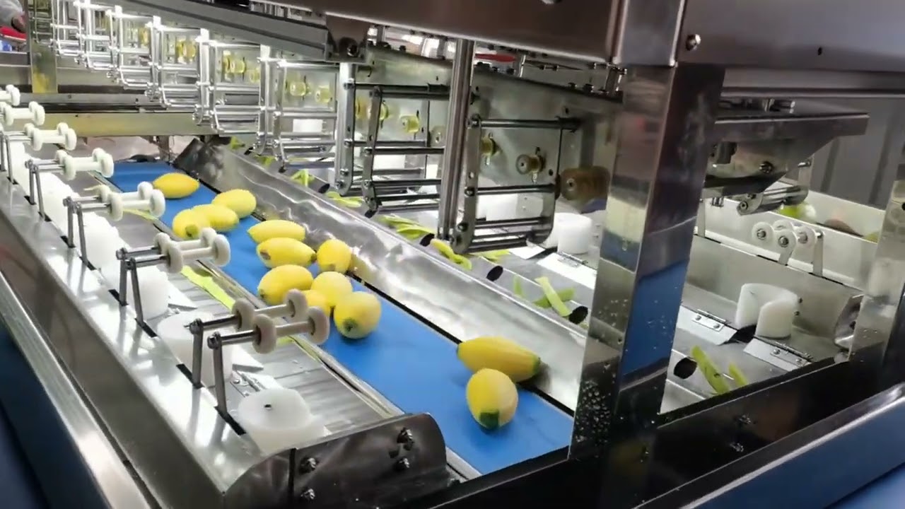 16 stations mango peeler mango peeling machine