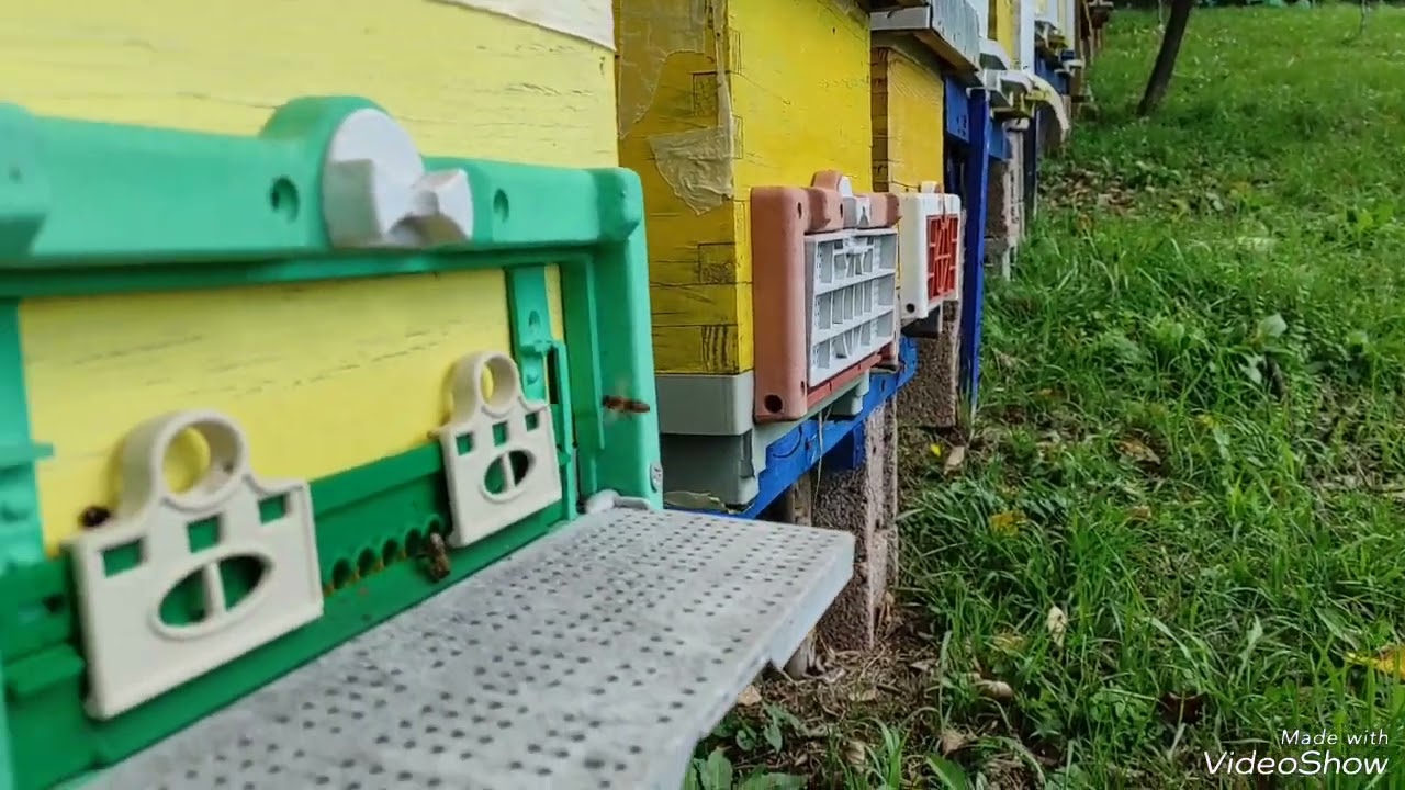 Najlon folija ili Novinski  papir?   Oktobar na Pčelinjaku