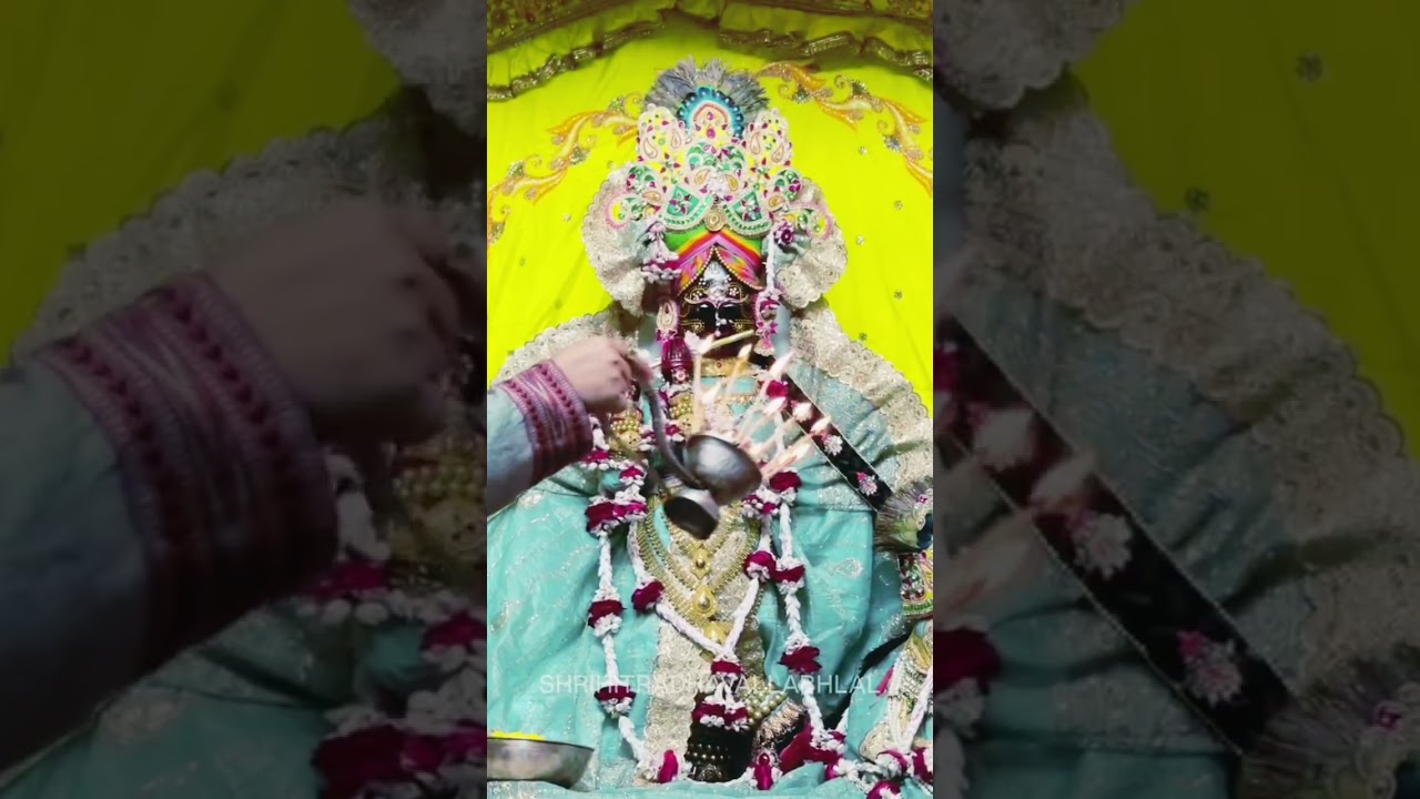 श्री श्री महाकाली मंदिर नारघाट मिर्जापुर विंध्याचल आरतीदर्शन 