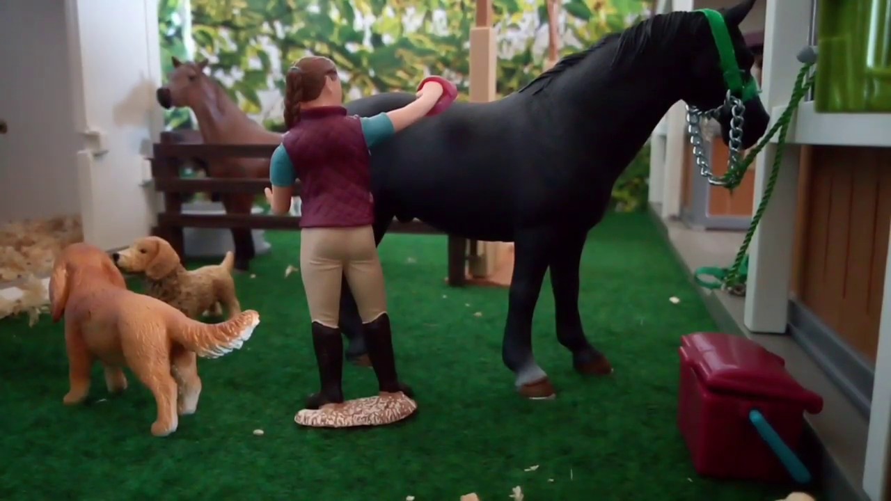 Une journée dans la peau d'une cavalière professionnelle  !