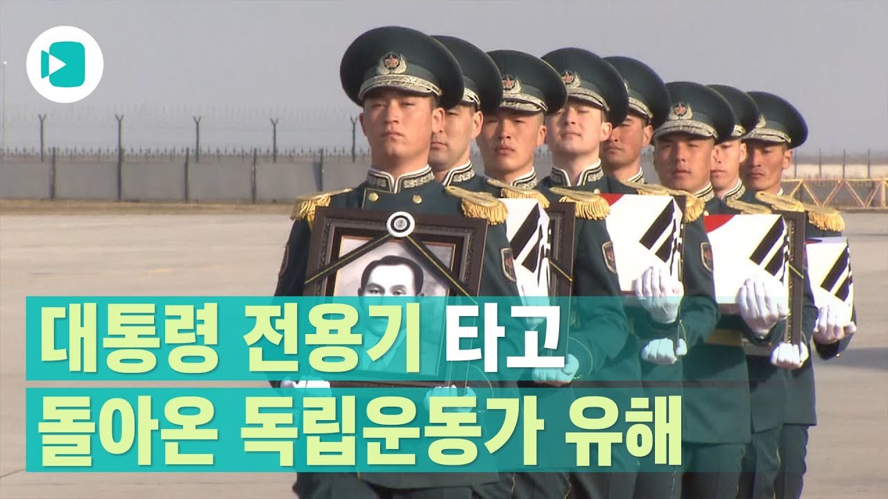 대통령 전용기 타고 고국에 돌아온 독립운동가 유해 / 비디오머그