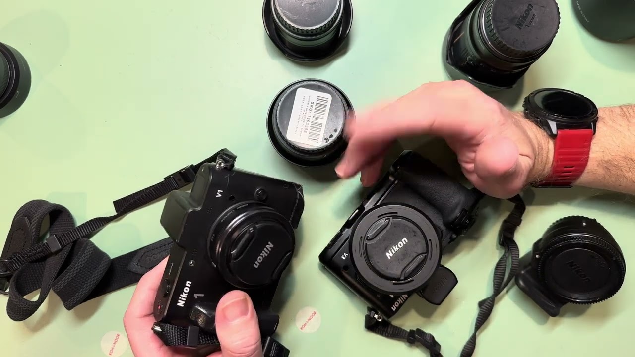 Nikon 1 V1 и V3 — объективы в дикой природе