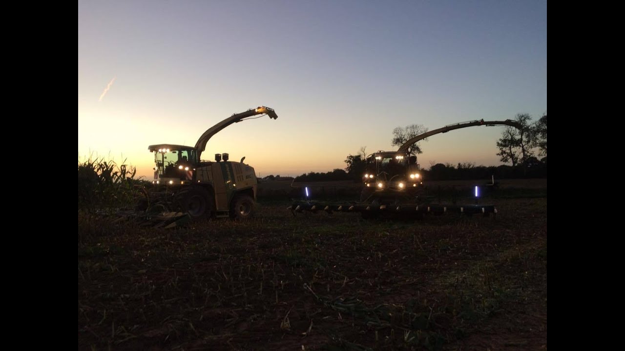 Ensilage de maïs 2016 SARL Bailleul ensileuse KRONE big x1100 14 rangs