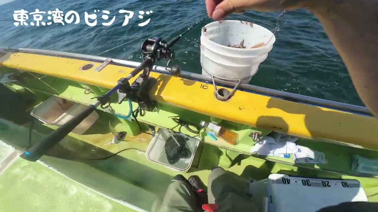 【東京湾】久々にビシアジをやった結果…。【船釣り】