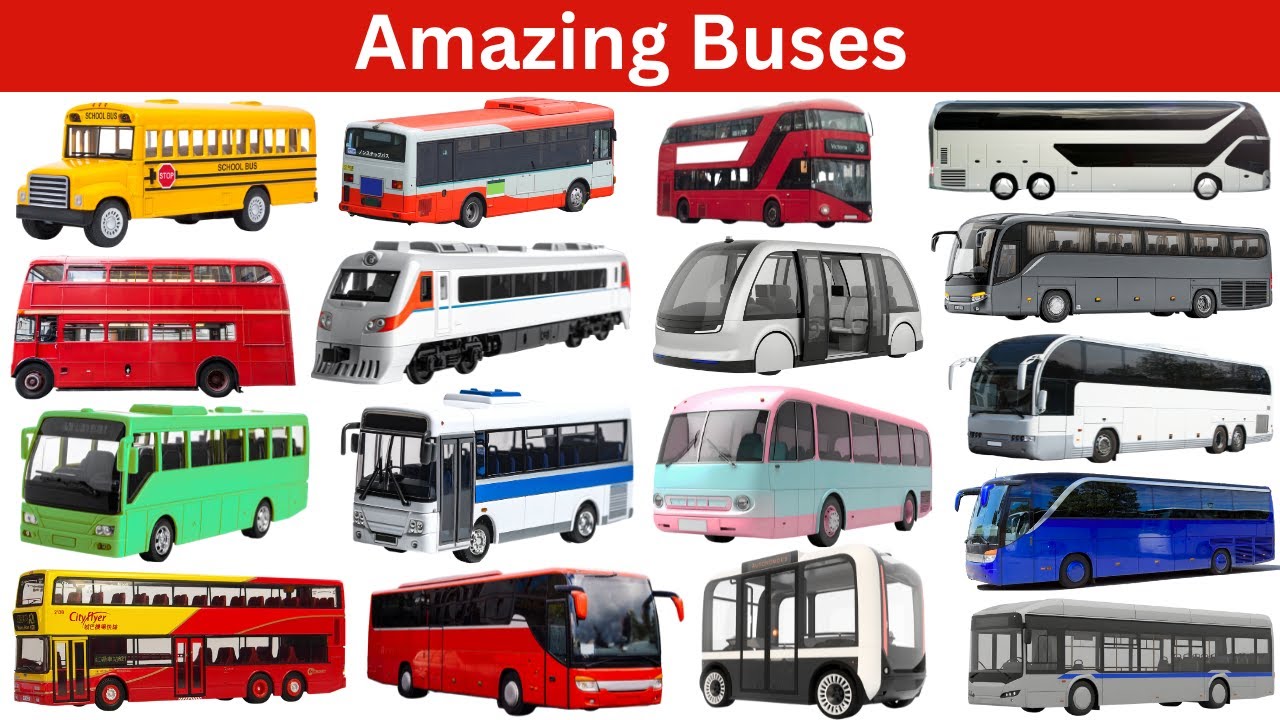 Learn All Types of Buses | City, School, Electric, Safari & More | Kids Video