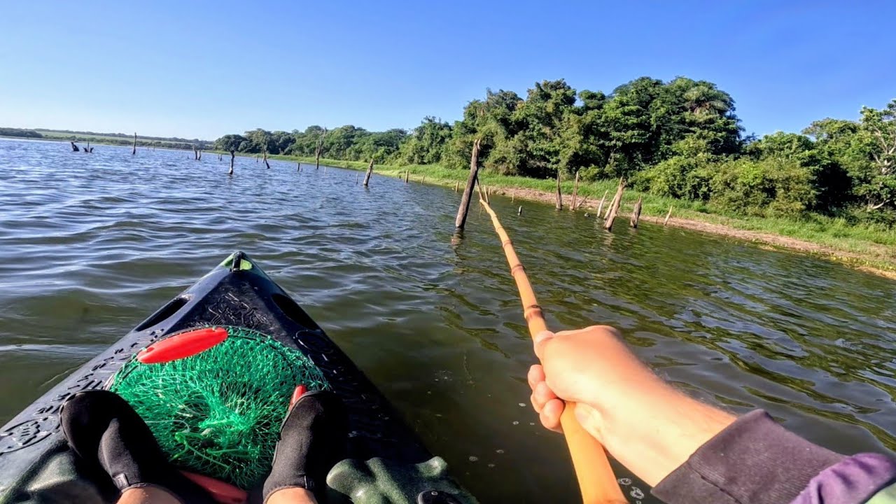 ERA PARA SER UMA PESCARIA DE CORVIN&Atilde;O, MAIS OS BRUTOS RESOLVER&Atilde;O ATACAR. PESCARIA NO RIO TIET&Ecirc;