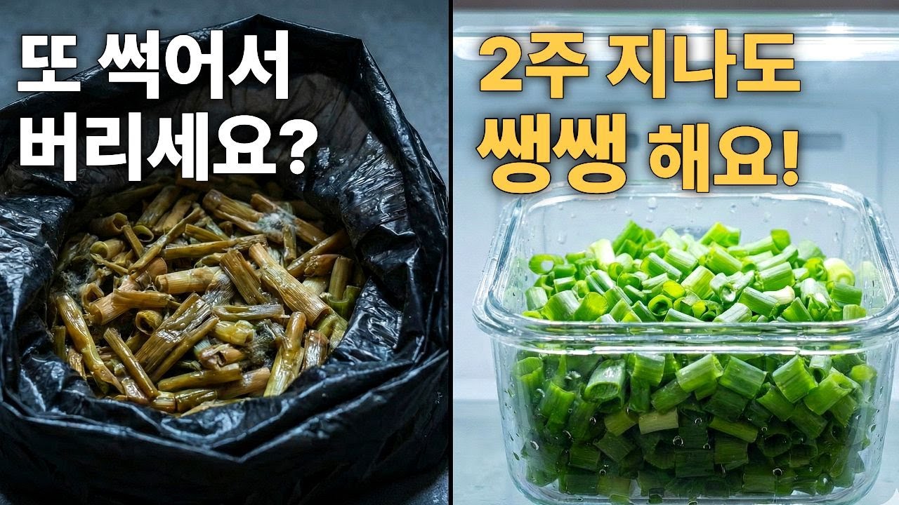 대파, 제발 비닐에 넣지 마세요. 3천 원으로 식비 30만 원 아끼는 '진공 보관' 꿀팁 (2주 뒤 충격 결과)