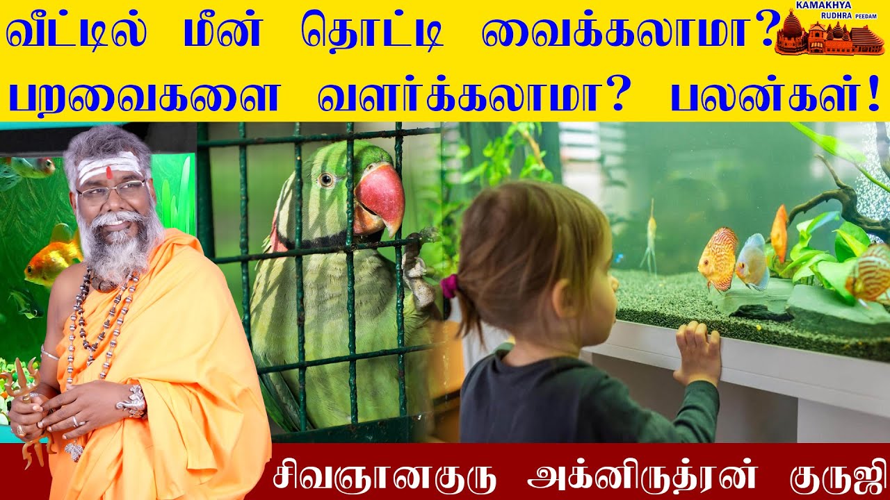 வீட்டில் மீன் தொட்டி வைக்கலாமா? பறவைகளை வளர்க்கலாமா? நல்லதா! கெட்டதா! Fish Tank at home |ருத்ரன்ஜி