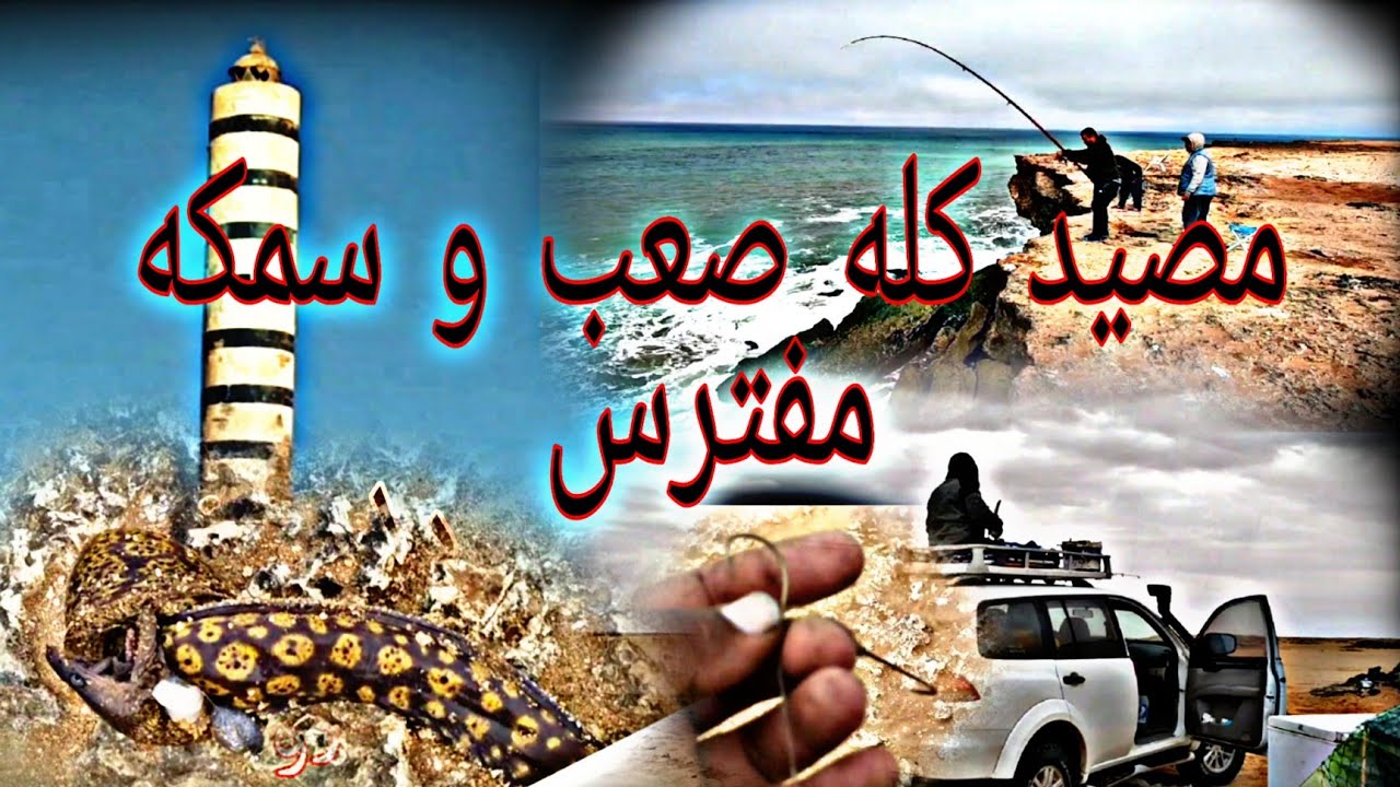 Peche a barbas صيد الوحوش كاب بارباص