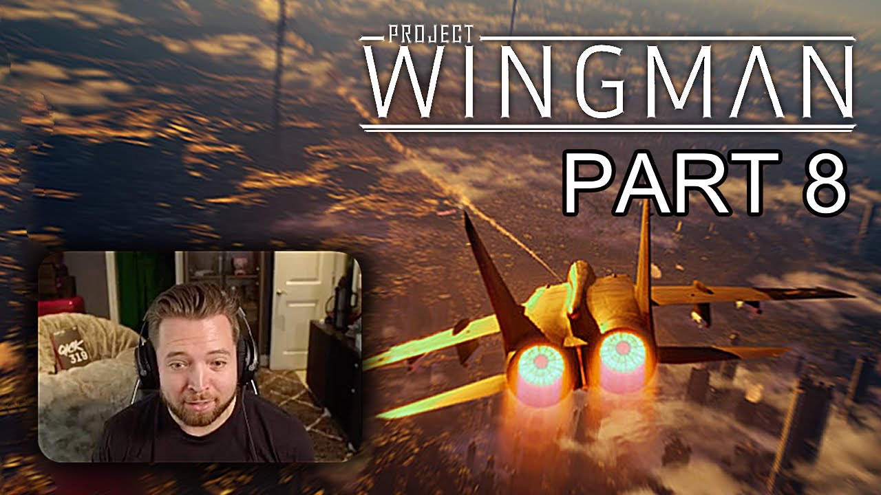 I think I screamed maybe | Project Wingman - Part 8