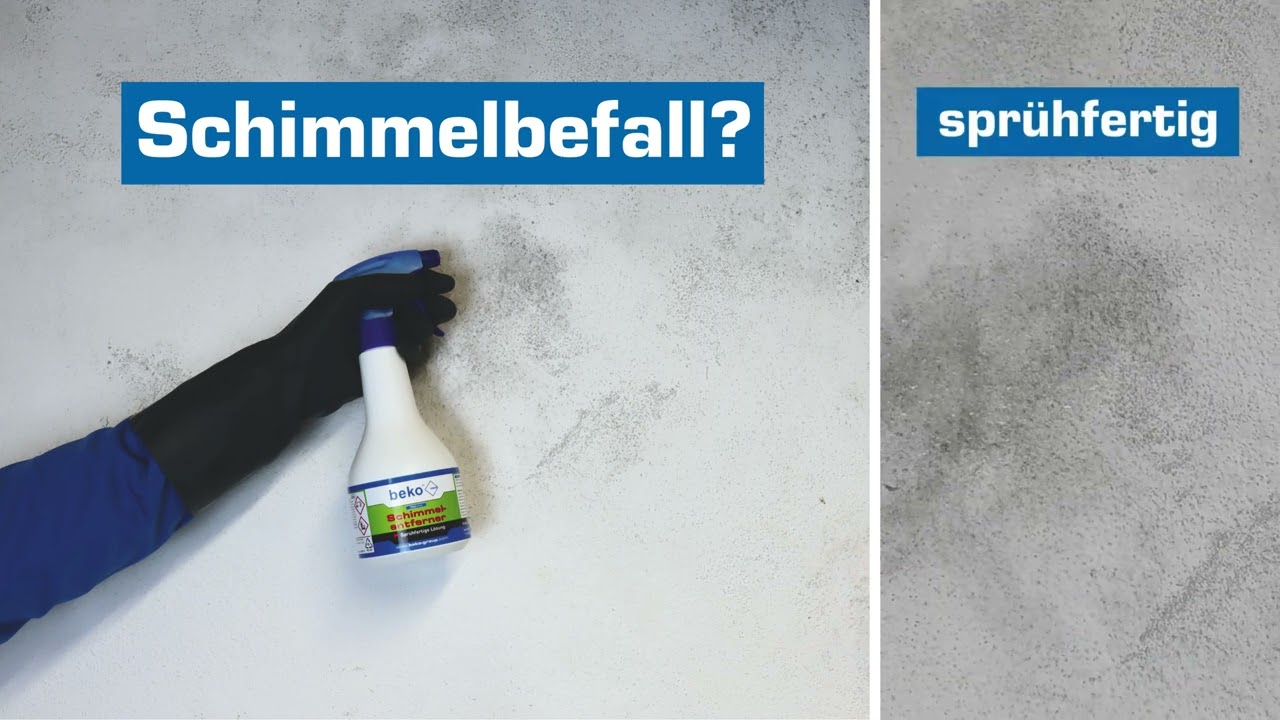 beko Schimmelentferner