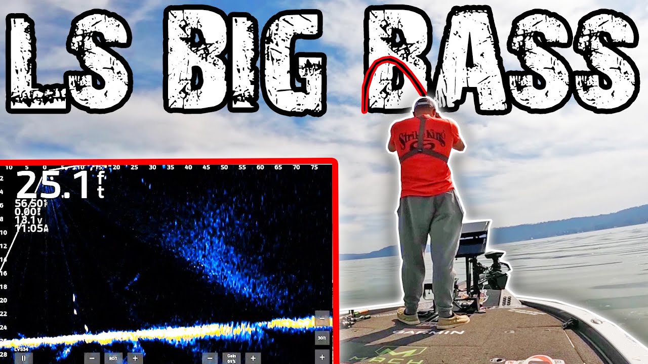 Unlock Big Bass Fishing with Garmin Livescope & Engwe Pro 2.0 E-Bike Adventure!