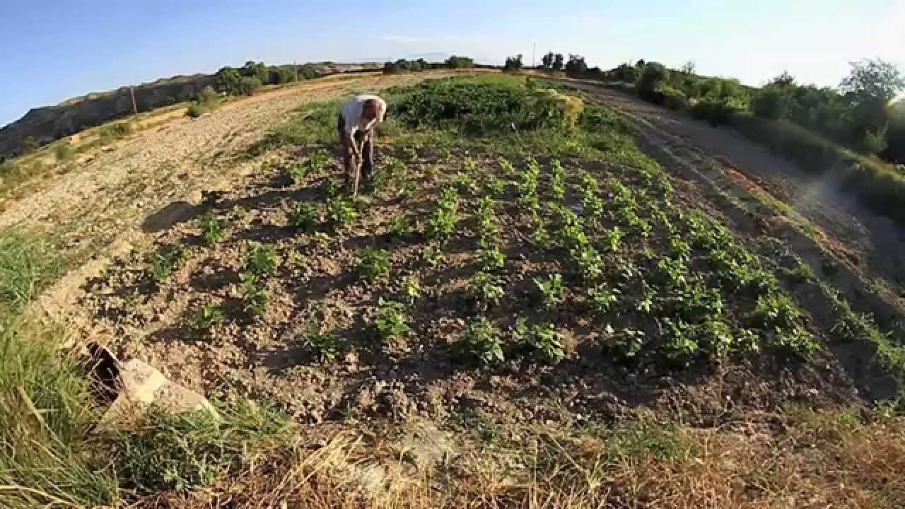 Vida de pueblo.