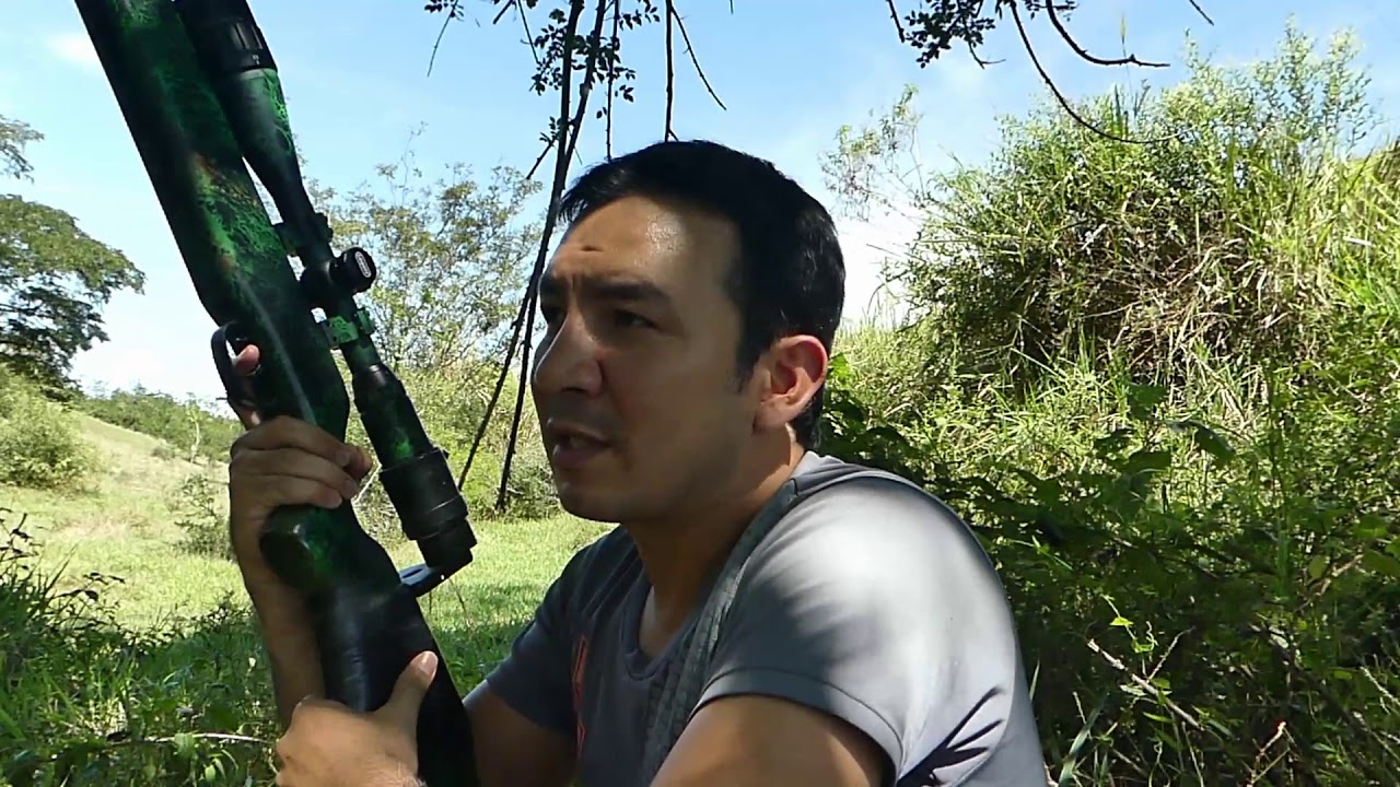 Como disparar compensando con mildot #mildot #crosman #crosmanairguns