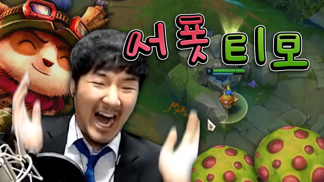 드디어 티모의 자리를 찾았습니다
