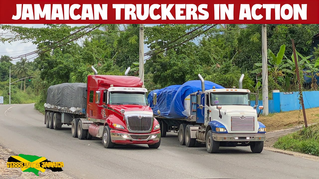 Jamaican Truckers | In Action | S02E21 | Happy New Year | Bigrigs | Loud Jake Brake | Official