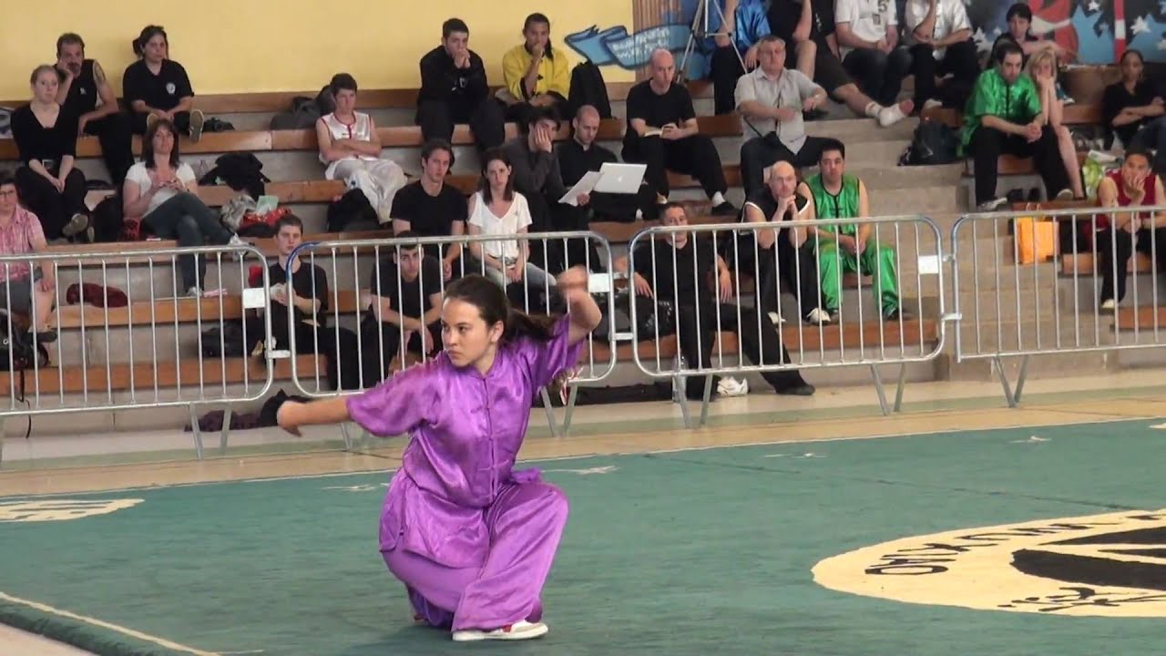 Style de l'aigle - championnat de france wushu traditionnel 2010