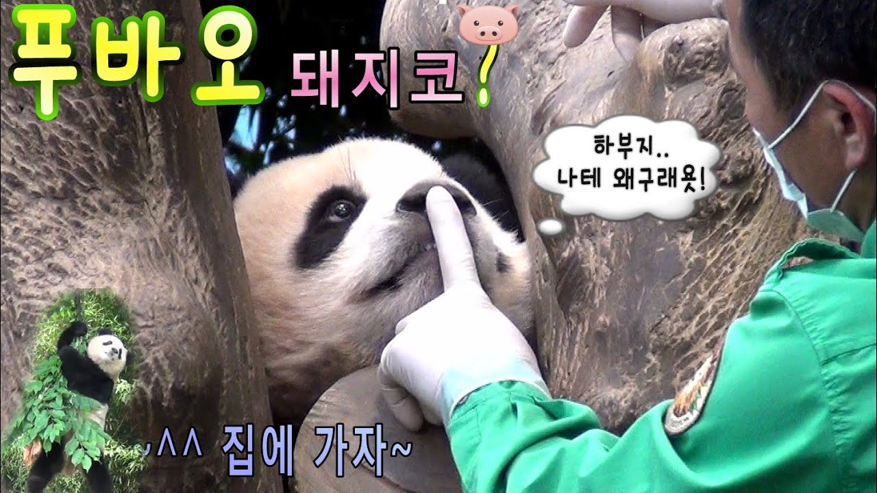[푸덕이CAM] 