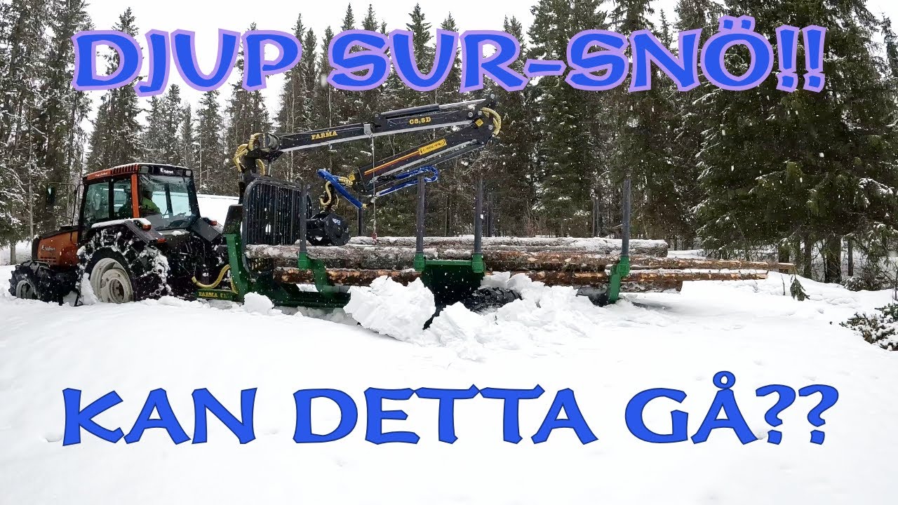 Vi Kör Ut Sågtimret! MYCKET SNÖ FORFARANDE!