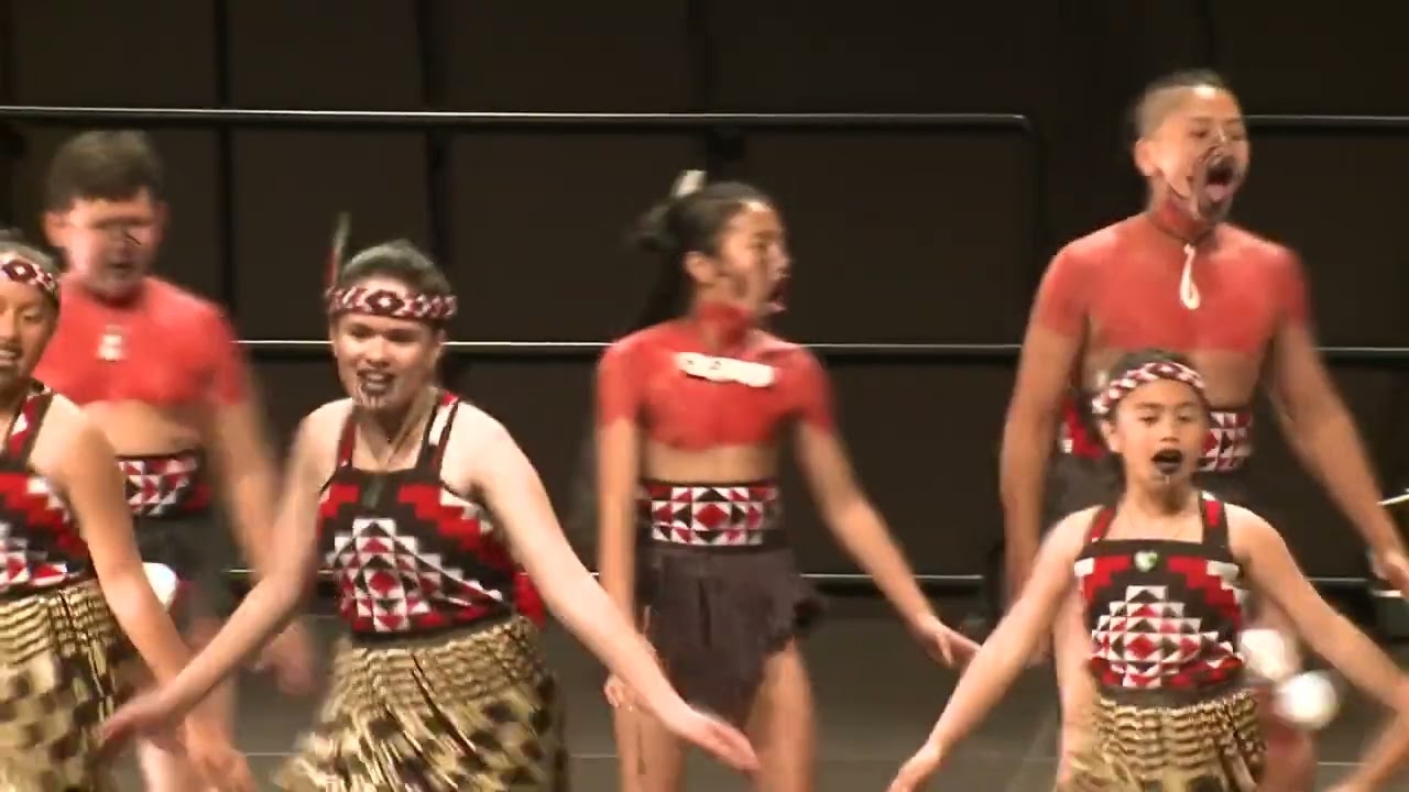2017 whakataetae ā rohe TA5