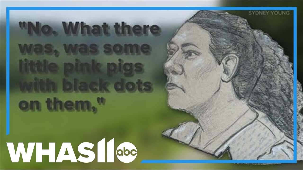 RECAP: Brooks Houck's sister testifies in Day 6 of murder trial | Crystal Rogers