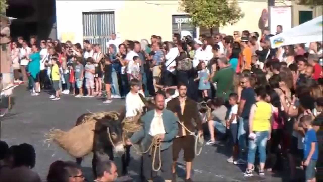 XIX PALIO MADAMA MARGARITA 6 LUGLIO 2014 - CASTEL MADAMA - CORTEO STORICO -