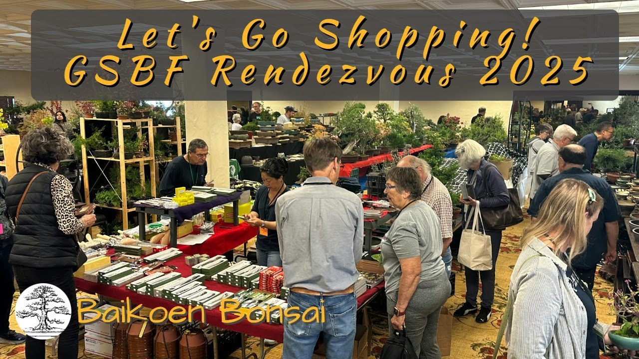 Давайте отправимся за покупками на GSBF Bonsai Rendezvous 2025 — Выставка бонсай — Клуб бонсай Ba...