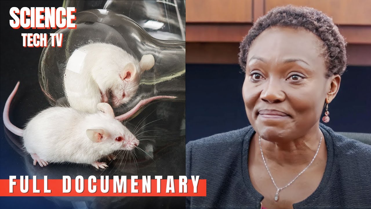 The Gene Switch: How Environment Controls Your DNA | Epigenetics: Decoding Life | Full Documentary