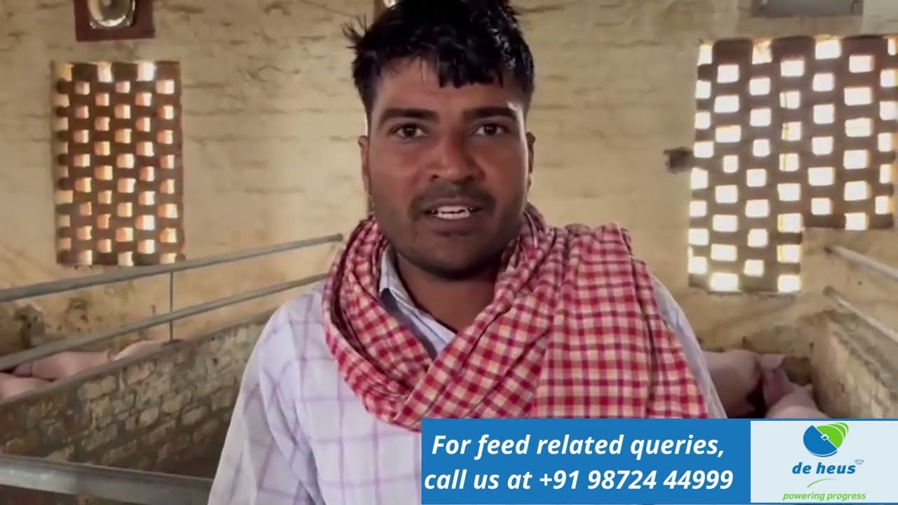 De Heus Pig feed farmer feedback