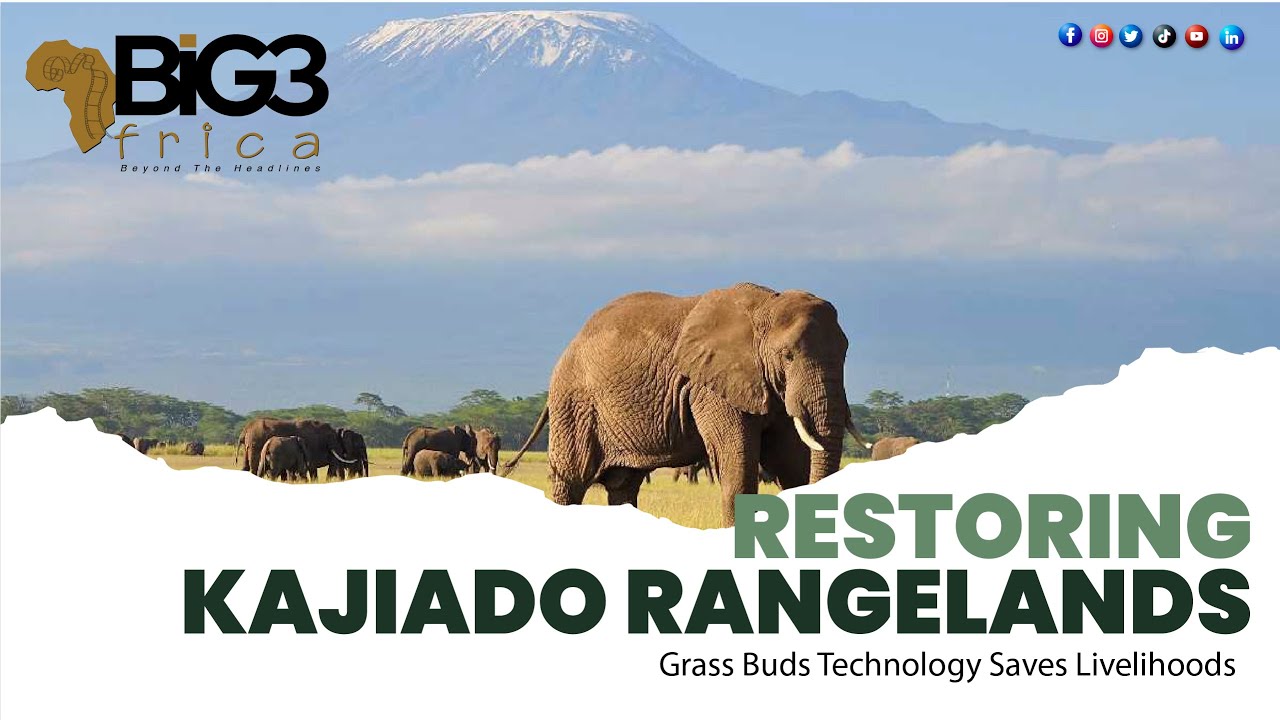 Kajiado Rangelands Restoration : Kenya's Grass Buds Technology Saves Livelihoods