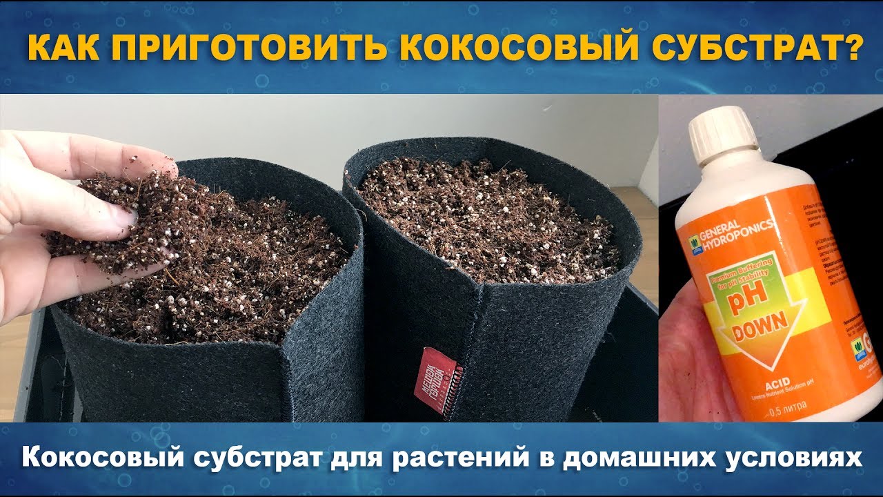 КАК ПРИГОТОВИТЬ КОКОСОВЫЙ СУБСТРАТ - Кокосовый субстрат в домашних условиях